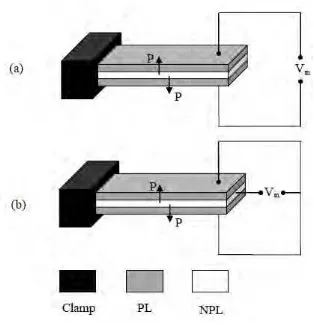 Figure 2.8: Piezoelectric bimorph cantilevers in (a) serial and (b) parallel connections