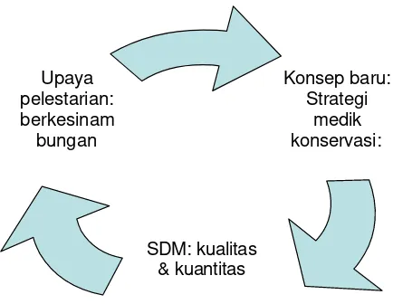 Gambar 3 Diagram efisiensi dan efektifitas upaya konservasi. (Lelana 2004) 