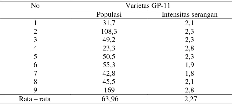 Tabel 6. Rerata kepadatan populasi dan intensitas serangan varietas RGM 00-869. 