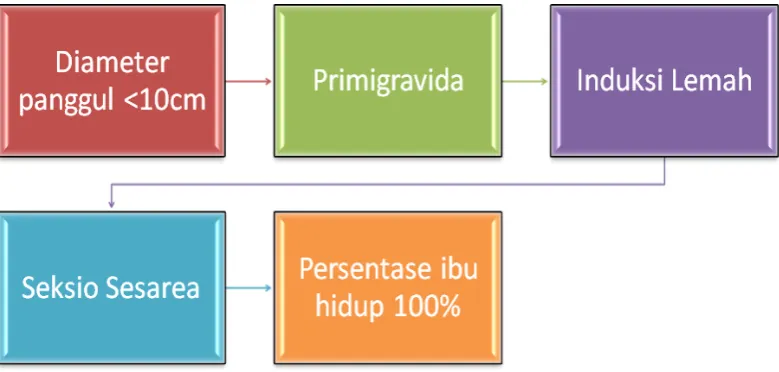 Tabel 5.5 Distribusi Prevalensi Persalinan  Atas Indikasi Partus Tidak Maju Berdasarkan Parameter Maternal Seksio Sesarea   