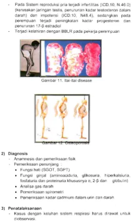Gambar 11. Itai-itai disease 