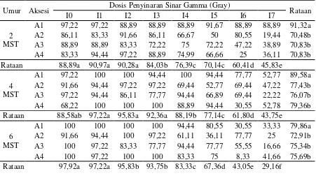 Tabel 2. Rataan persentase tumbuh tanaman (%) terhadap  aksesi dan dosis  penyinaran gamma pada  umur 2-6 MST 