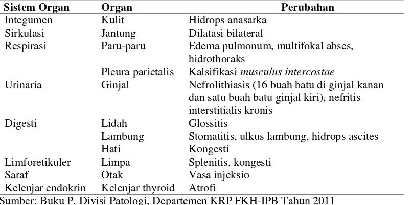Tabel 1 Hasil pemeriksaan patologi anatomi berbagai organ kucing P 256/11 