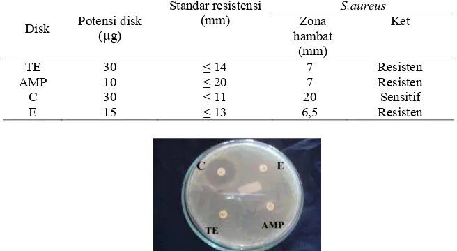 Tabel 1. Hasil uji sensitivitas bakteri S.aureus multiresisten terhadap antibiotik Standar resistensi S.aureus 
