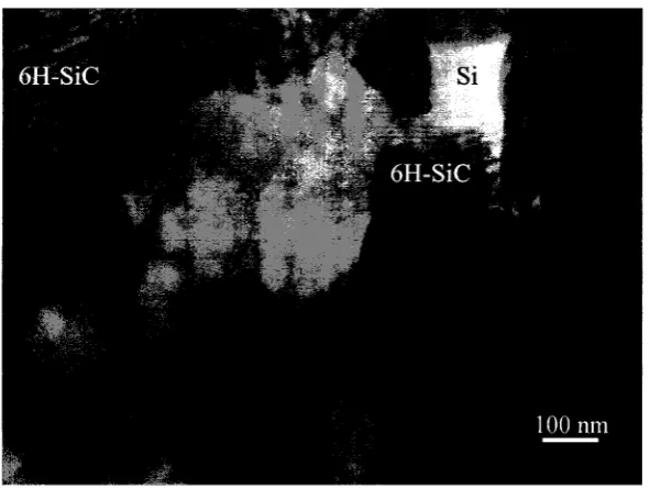 Fig. 1.2 Microstructures ofRB-SiC observed by TEM. 