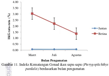 Gambar 11. Indeks Kematangan Gonad ikan sapu-sapu (Pterygoplichthys 