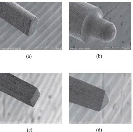 Fig. 3. Microelectrodes with different geometries: (a) rect-angular, (b) hemispherical, (c) square, and (d) triangular.