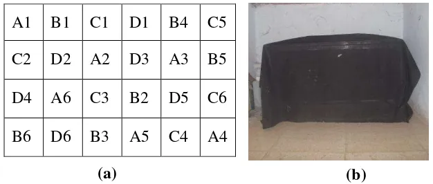 Gambar 4. Proses perkecambahan. (a) tata letak percobaan, dimana A= kontrol, B= Perlakuan lama pemaparan 7’48”, C= perlakuan lama pemaparan 11’44”, D= perlakuan lama pemaparan 15’36”, dan (b) kotak germinasi yang ditutup kain hitam (Dokumentasi pribadi) 
