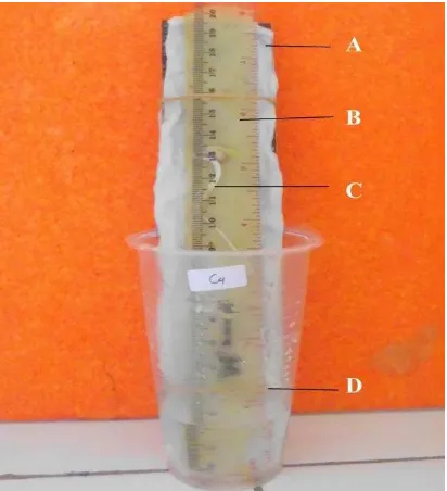 Gambar 6. Model Percobaan. (a) Papan triplek dengan kertas germinasi dan kapas, (b) penggaris, (c) kecambah kacang hijau, dan (d) gelas air mineral berisi air keran (Dokumentasi pribadi)