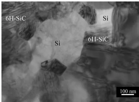 Fig. 2. Microstructures of RB-SiC observed by TEM.