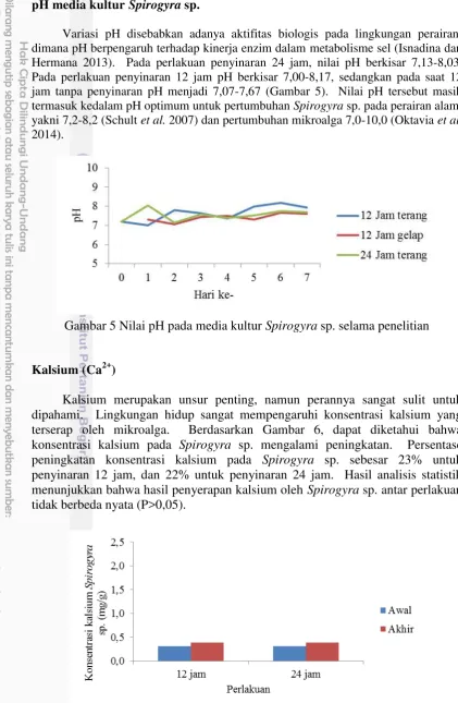 Gambar 5 Nilai pH pada media kultur Spirogyra sp. selama penelitian 