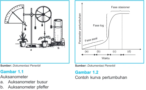 Gambar 1.1Gambar 1.2