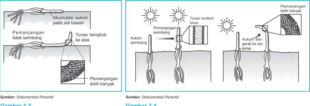 Gambar 1.3Gambar 1.4