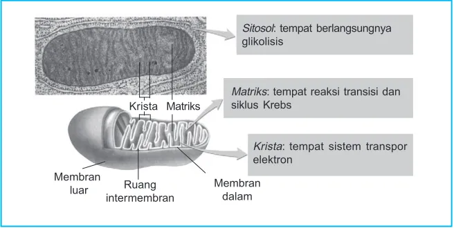 Gambar 2.9