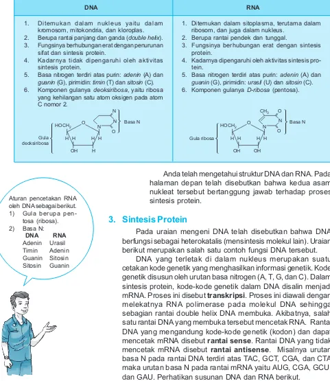 Tabel 3.1 Perbandingan Struktur, Fungsi, dan Materi Penyusun DNA dan RNA