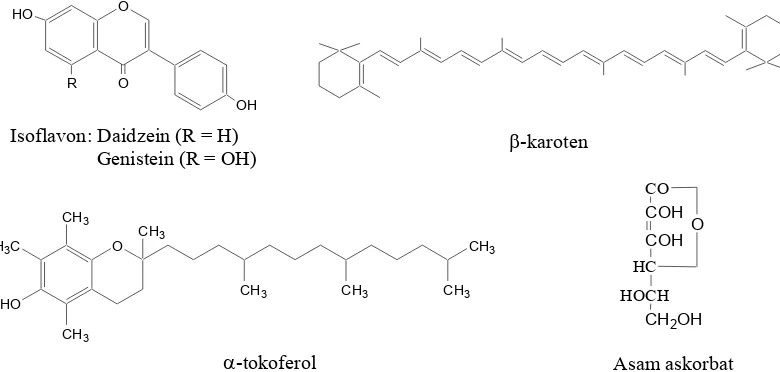 Gambar 3 Beberapa senyawa antioksidan alami.