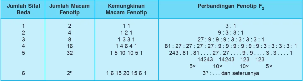 Tabel 5.4 Meramalkan Perbandingan Fenotip F2 dengan Rumus Segitiga Pascal