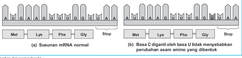 Gambar 6.1 (a) dan mengalami mutasi seperti Gambar 6.1 (b).