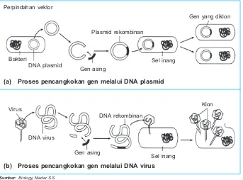 Gambar 8.2Proses DNA rekombinan