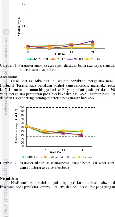Gambar 11  Parameter amonia selama pemeliharaan benih ikan sepat siam dengan 