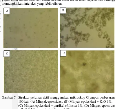 Gambar 7  Struktur pelumas aktif menggunakan mikroskop Olympus perbesaran 100 kali (A) Minyak epoksidasi, (B) Minyak epoksidasi + ZnO 1%, (C) Minyak epoksidasi + partikel chitosan 1%, (D) Minyak epoksidasi + ZnO 0,5% + partikel chitosan 0,5%