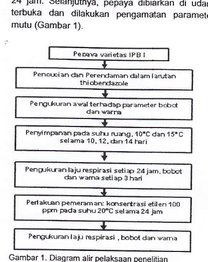 Gambar 1. Diagram alir pelaksaan penelitian