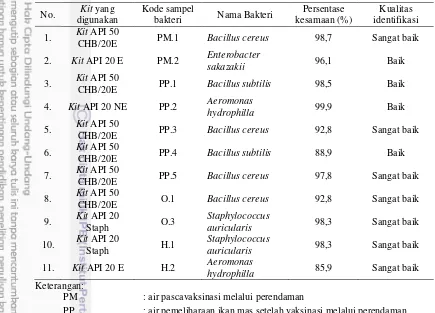 Tabel 4 Bakteri isolat dari air pascavaksinasi melalui perendaman dan oral, serta 