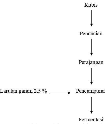 Gambar 4  Skema proses pembuatan starter bakteri asam laktat  ( Suriawiria 1980 ) 