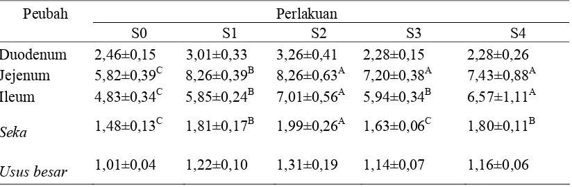 Tabel 8.Rataan Panjang Usus Halus Itik Mojosari Alabio Jantan (cm/100 