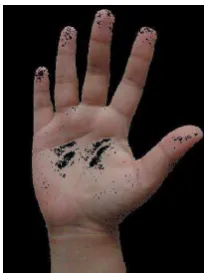 Gambar 3.4 Skin Segmentation 