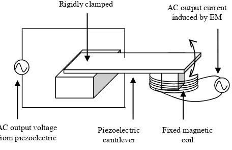 Fig. 1: Schematic diagram of hybrid piezoelectric and electromagnetic micro-generators 