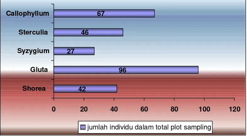 Tabel 2.  Kondisi tumbuhan pada tingkat pancang pada setiap plot pengamatan 