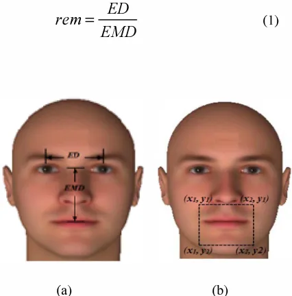 Fig.l. (a) Anthropometric measurement. (b) Focus Mouth Region (FMR) 