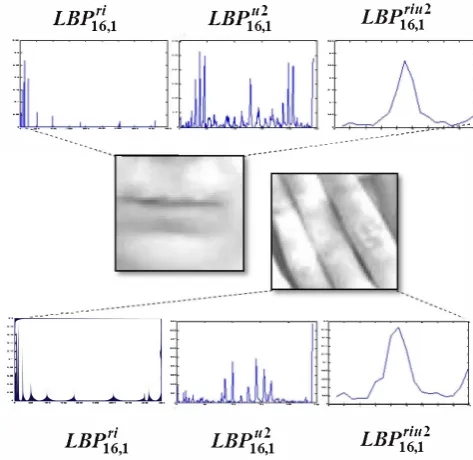 Fig.5. Example of extended LBP operator. (a) (8,1), (b) (16,2) and (c) (24,3) neighborhoods