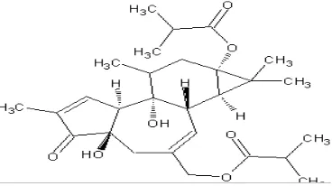 Gambar 3.  Struktur Kimia Phorbolester  