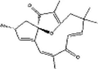 Gambar 4. Struktur Kimia Curcin (C20H24O3) [www.prn2.usm.my] 