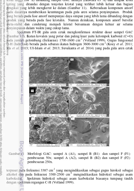 Gambar 11  Morfologi GAC: sampel A (A1), sampel B (B1)  dan sampel F (F1) 