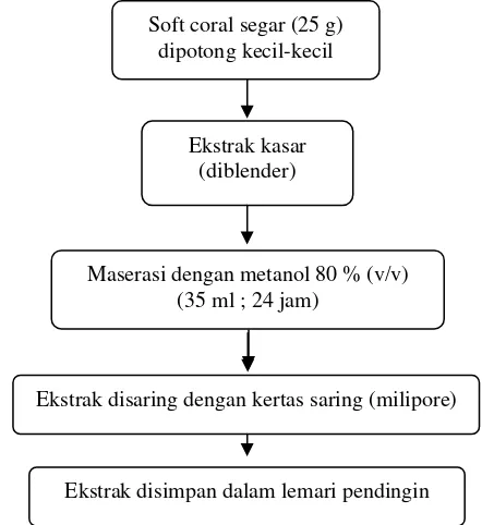 Gambar 3.   Alur ekstraksi karang lunak (Rachmaniar 1995) 