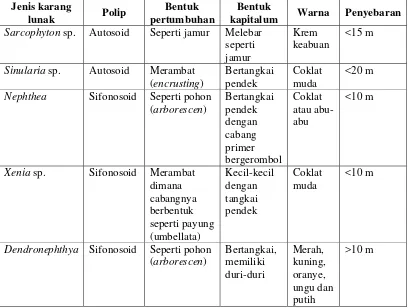 Tabel  6. Hasil karakterisasi karang lunak 