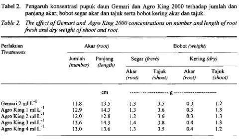Tabel 2.  Pengaruh konsentrasi pupuk daun Gemari dan Agro King 2000 terhadap jumlah dan 