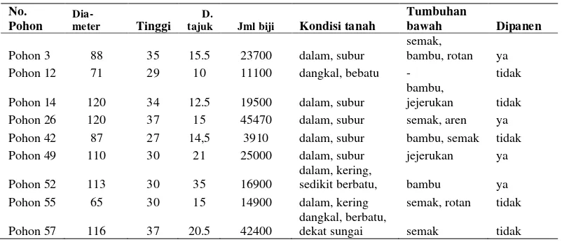Tabel 2.   Kondisi diameter batang, tinggi, diameter tajuk, dugaan jumlah biji, tanah,  tumbuhan bawah dan dipanen atau tidak (dipantek atau tidak)  
