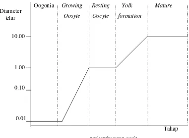 Gambar 5. Grafik diameter oosit dalam perkembangannya menurut Purdom (1993). 