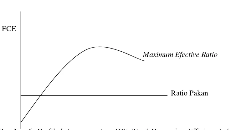 Gambar 6. Grafik hubungan antara FCE (Feed Convertion Efficiency) dengan 