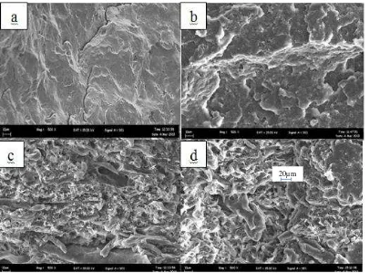 Figure 2. Scanning electron micrograph of untreated (a) pure PP, (b) 90/10 PP/ENR,    (c) 70/30 PP/ENR and (d) 50/50 PP/ENR at magnification of 500x