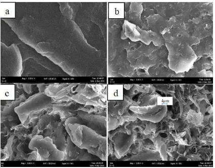 Figure 3. Scanning electron micrograph of untreated (a) pure PP, (a) 90/10 PP/ENR,       (b) 70/30 PP/ENR and (c) 50/50 PP/ENR at magnification of 2000x