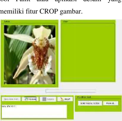 Gambar 3.9 Hasil gambar ser setelah di crop