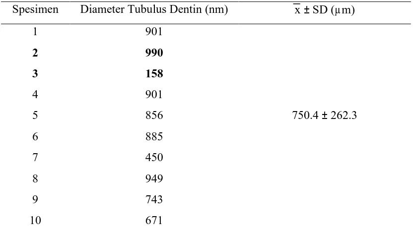 Tabel 2. Hasil Pengukuran Diameter Tubulus Dentin Tertier Pada Gigi Molar Pertama Bawah Permanen Penyirih Suku Karo di Pancur Batu Medan  