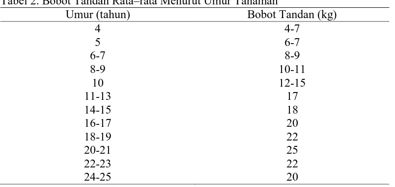 Tabel 2. Bobot Tandan Rata–rata Menurut Umur Tanaman  Umur (tahun) Bobot Tandan (kg) 