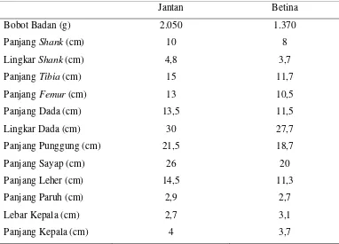 Tabel 2. Rataan Bobot Badan dan Ukuran Kerangka Tubuh Ayam Sentul Jantan dan Betina  