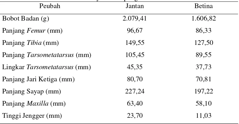 Tabel 5. Ukuran Tubuh Ayam Kampung Indonesia 